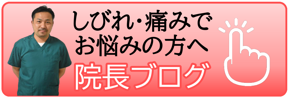 志木 石井整骨院 院長ブログ