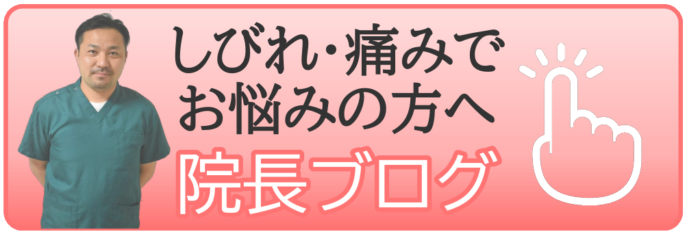 志木 石井整骨院 院長ブログ